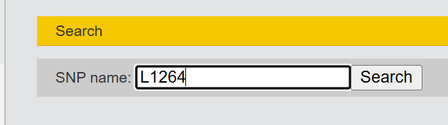 Ввод названия снипа